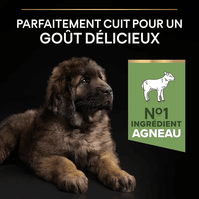 Pro Plan Large Adult Robust Sensitive Digestion Agneau