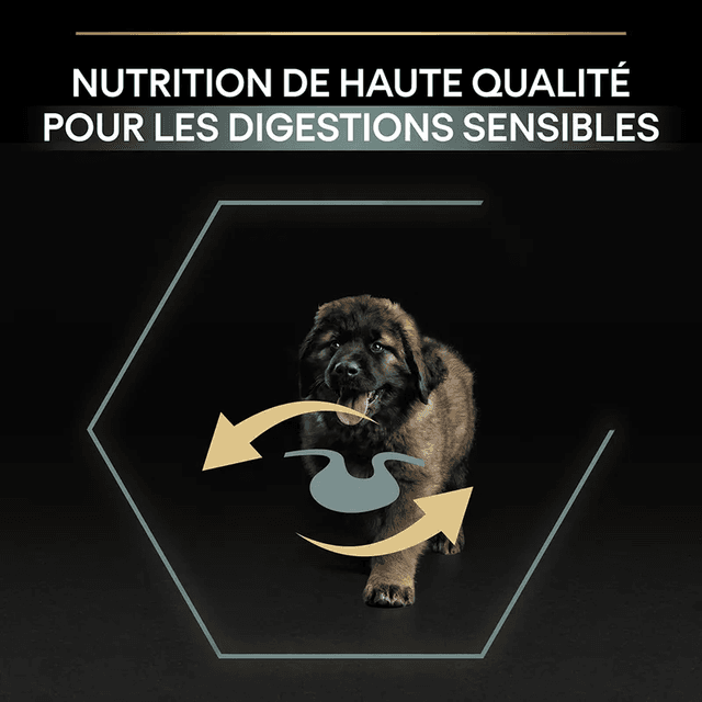 Pro Plan Large Adult Robust Sensitive Digestion Agneau