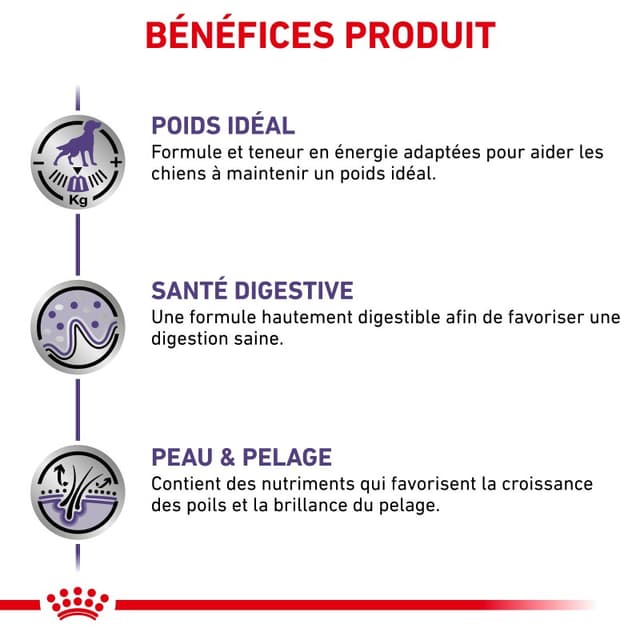 Royal Canin Expert - Dog Neutered pour chien adulte