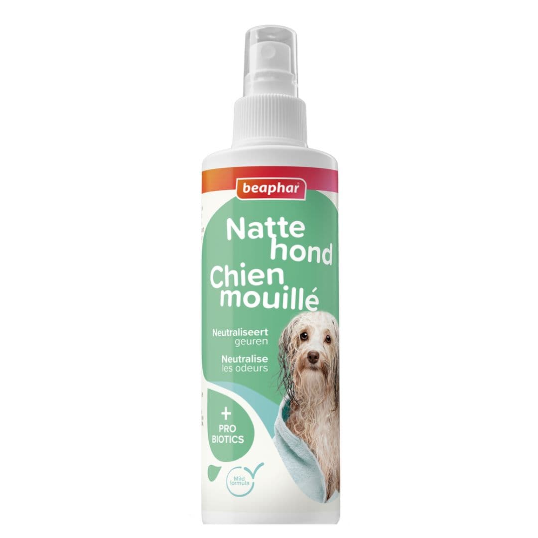 Spray sans rinçage pour chien mouillé Beaphar