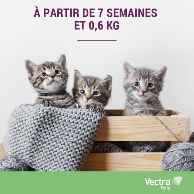 Vectra Felis Spot-on pour chat