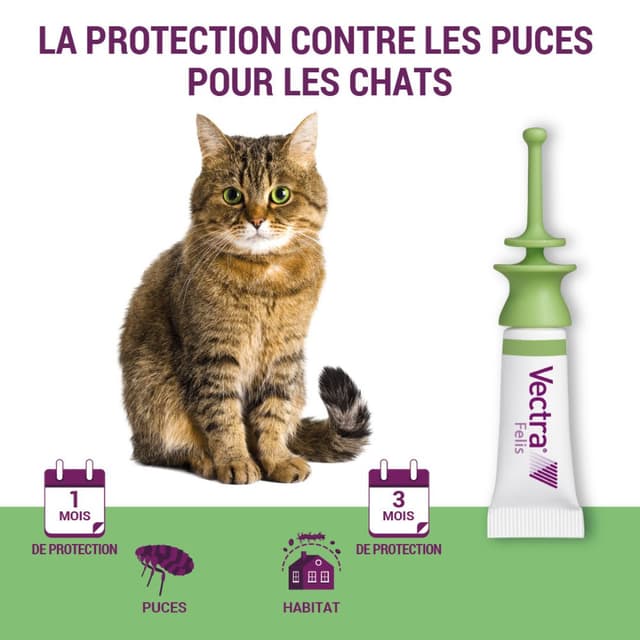 Vectra Felis Spot-on pour chat