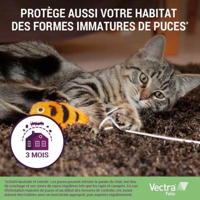 Vectra Felis Spot-on pour chat