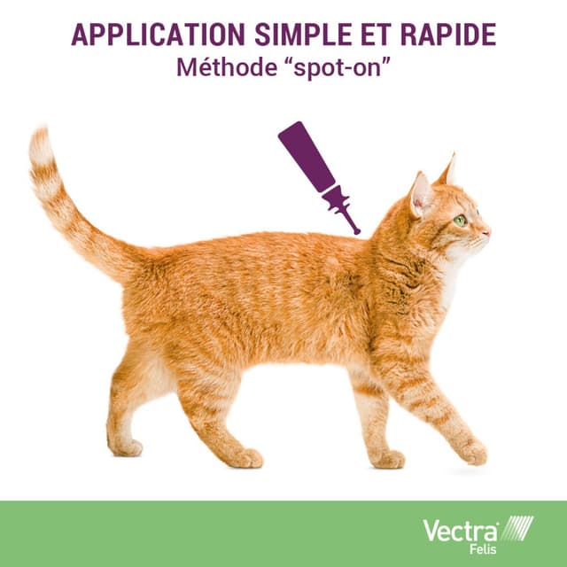 Vectra Felis Spot-on pour chat