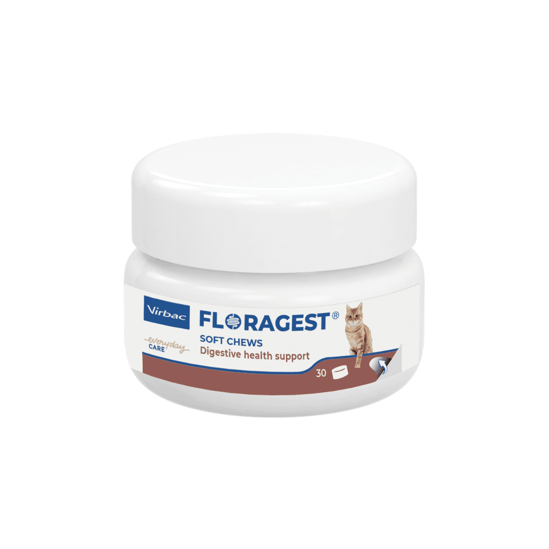 Virbac Floragest pour chat