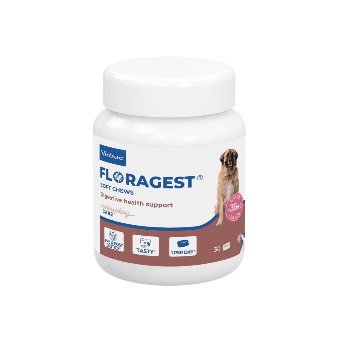 Virbac Floragest pour chien