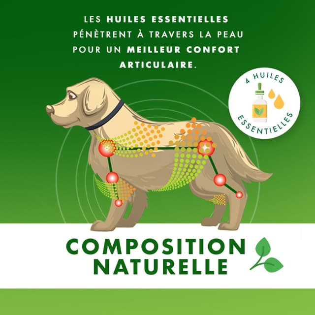 Yoos - Collier pour confort articulaire Ceva