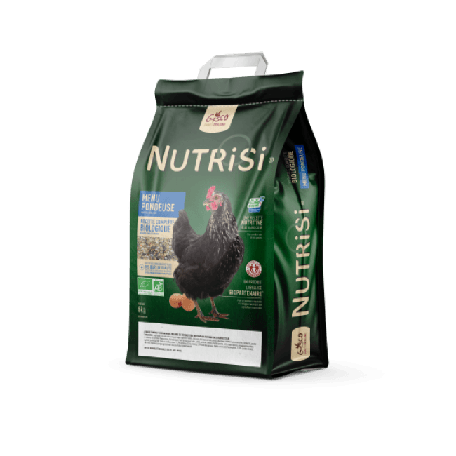 Nutrisi menu bio pour poules pondeuses
