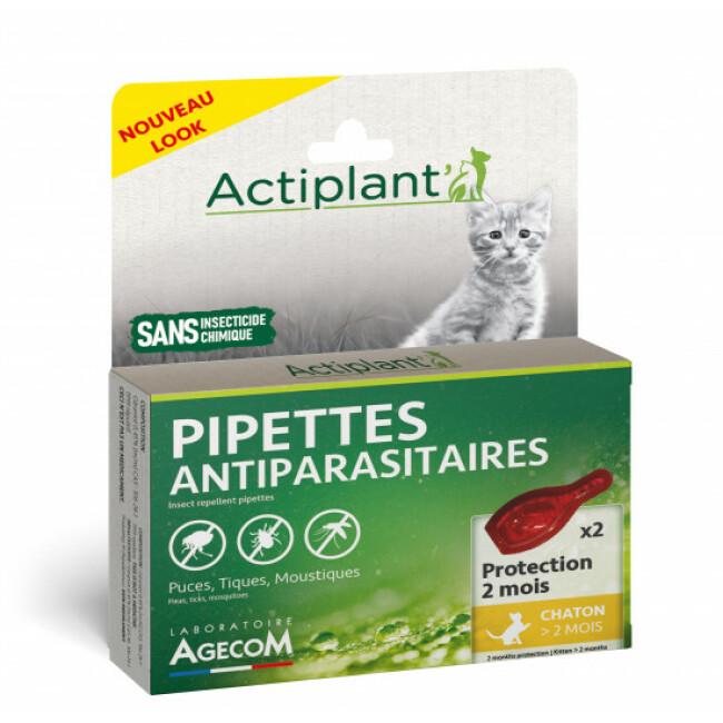 Pipettes Antiparasitaires Actiplan pour chat