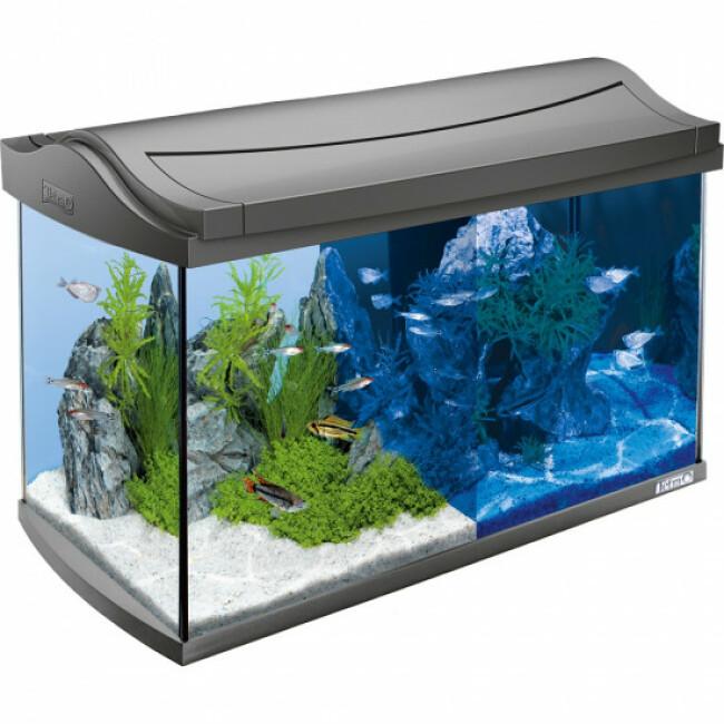 Aquarium avec éclairage LED Tetra AquaArt LED Kit complet