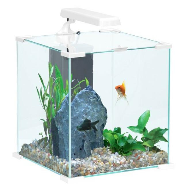 Aquarium complet NanoLife Cube Blanc Zolux