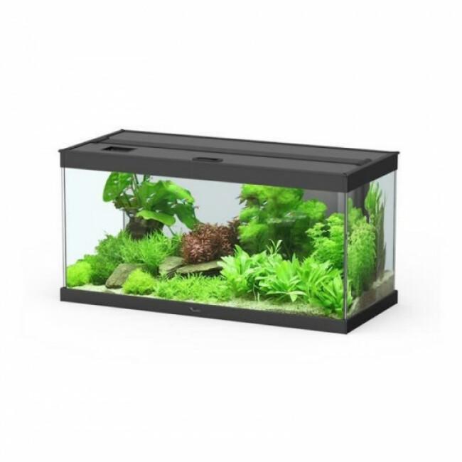 Aquarium Style LED 80 noir Aquatlantis 86 litres