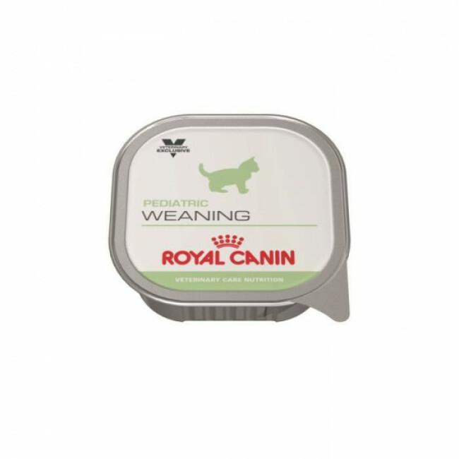 Boîtes Royal Canin Veterinary Care Pediatric Weaning pour chats 12 boîtes 195 g