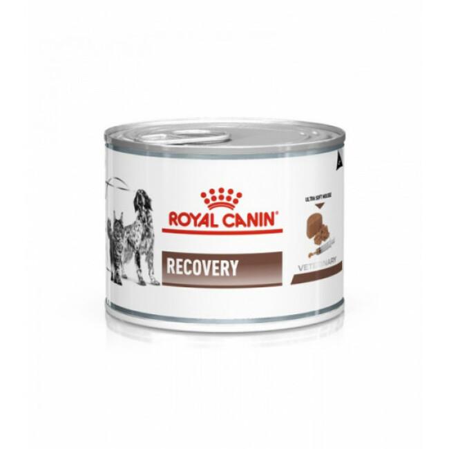Boîtes Royal Canin Veterinary Diet Recovery pour chiens et chats