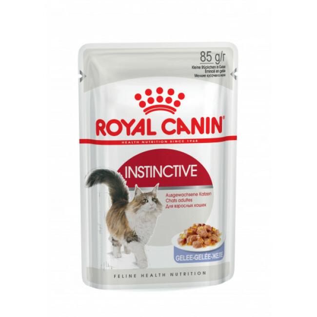 Bouchées en gelée pour chats Royal Canin Instinctive