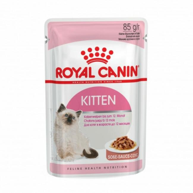 Bouchées en gelée pour chats Royal Canin Kitten Instinctive