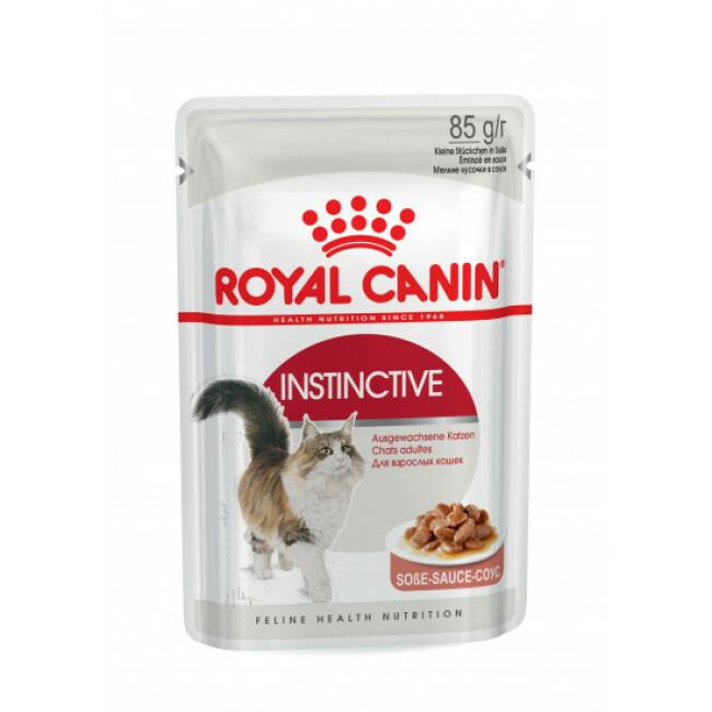 Bouchées Royal Canin Instinctive en Sauce ou en Mousse pour chat adulte
