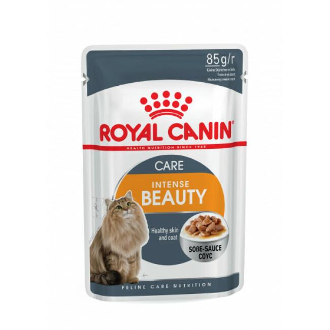 Bouchées pour chats Royal Canin Intense Beauty 12 Sachets 85 g
