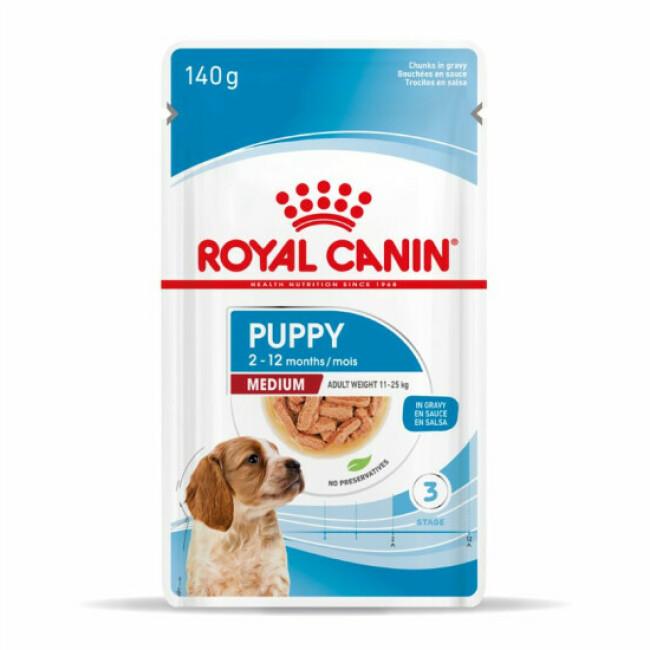 Bouchées en sauce Royal Canin Puppy Medium