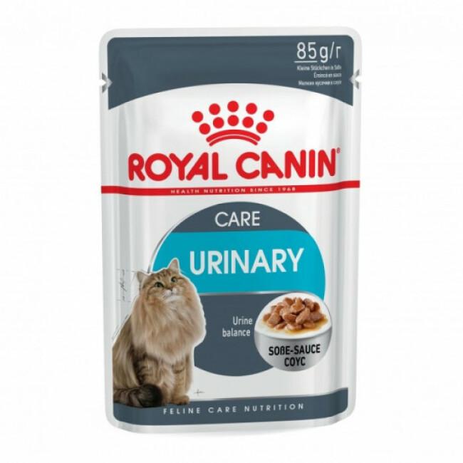 Bouchées en sauce Royal Canin Urinary Care