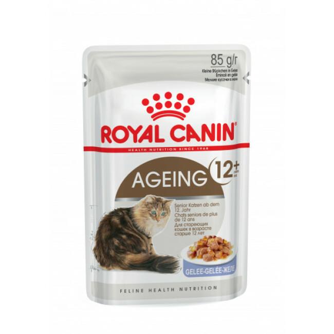 Bouchées pour chat senior Royal Canin Ageing 12+ 12 sachets 85 g