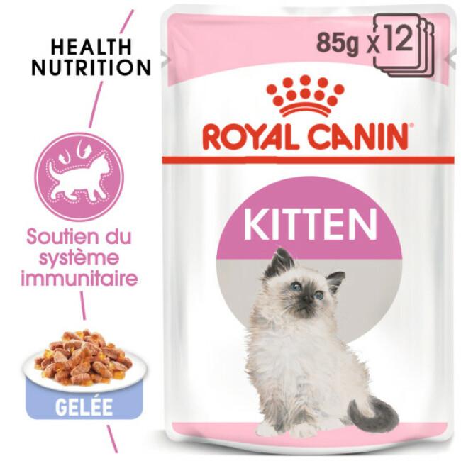 Bouchées Royal Canin Kitten