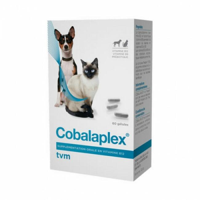Cobalaplex TVM supplémentation vitamines B12 et B9