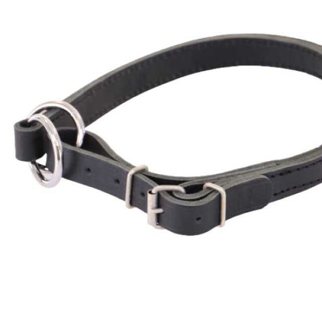 Collier En Cuir Taupe Sazzz Pioneer Pour Chien Élégant Et Réglable à Prix Collier En Cuir Taupe Sazzz Pioneer Pour Chien Élégant Et Réglable à Prix