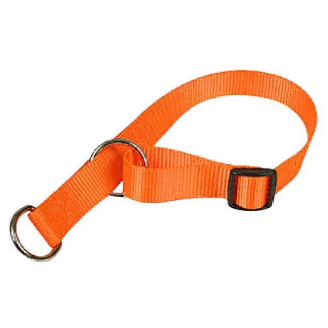 Collier semi-étrangleur orange fluo pour chien