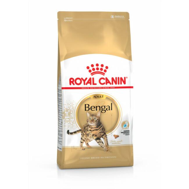 Croquettes pour chat Royal Canin Bengal