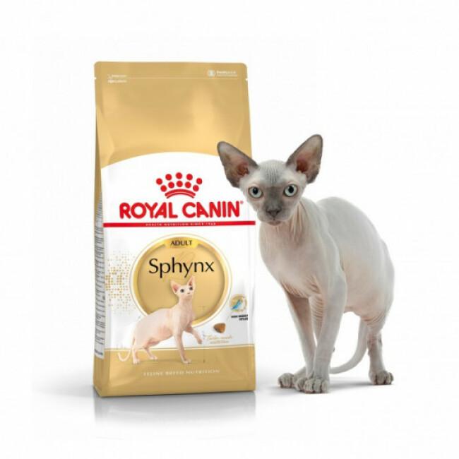 Croquettes pour chat Royal Canin Sphynx