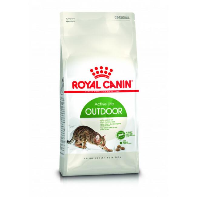Croquettes pour chats Royal Canin Outdoor