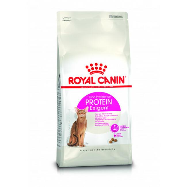 Croquettes pour chats Royal Canin Protein Exigent