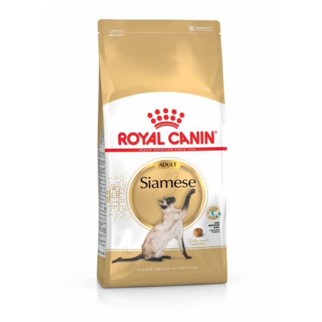 Croquettes pour chats Royal Canin Siamese