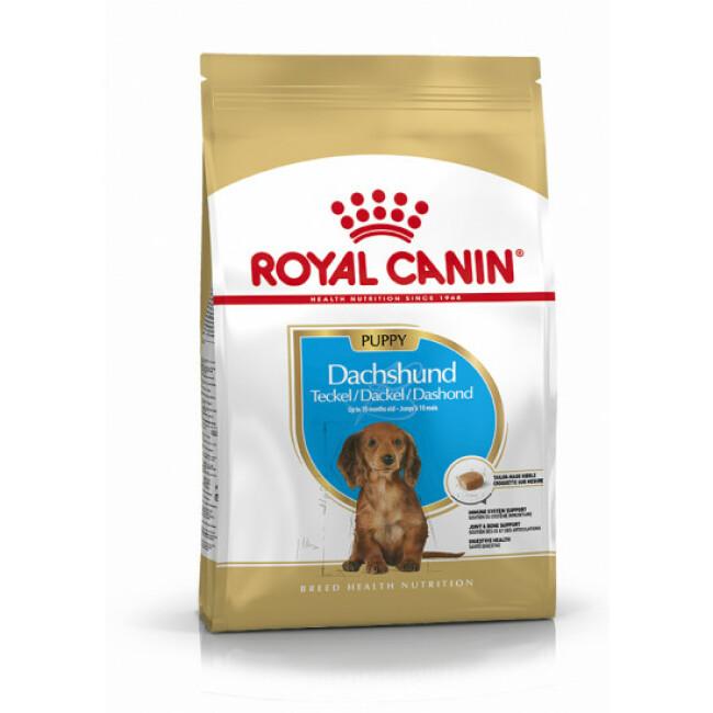 Croquettes pour chien Teckel Royal Canin Breed Nutrition junior Sac 1,5 kg