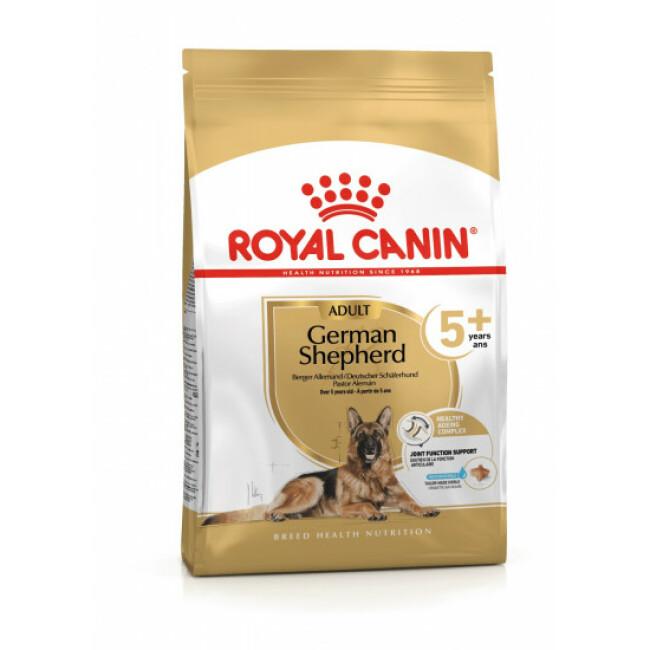 Croquettes Royal Canin Berger Allemand Adulte 5+