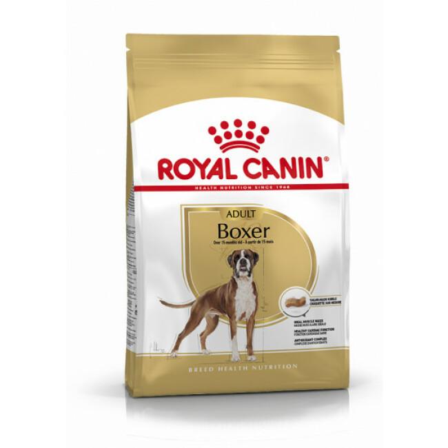 Croquettes Royal Canin Boxer Adulte