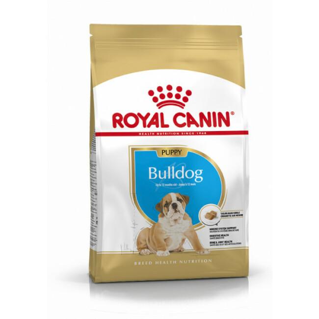 Croquettes Royal Canin Bulldog Anglais Junior