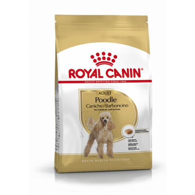 Croquettes Royal Canin Caniche Adulte