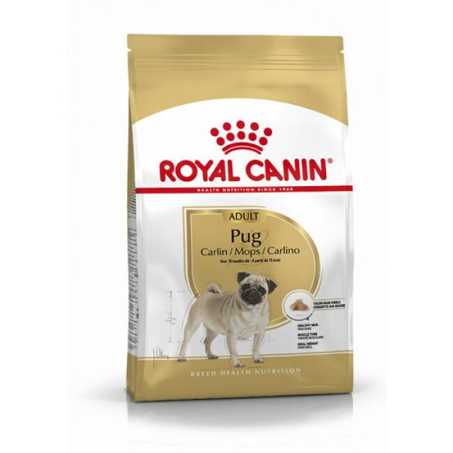 Croquettes Royal Canin Carlin 25 Adulte
