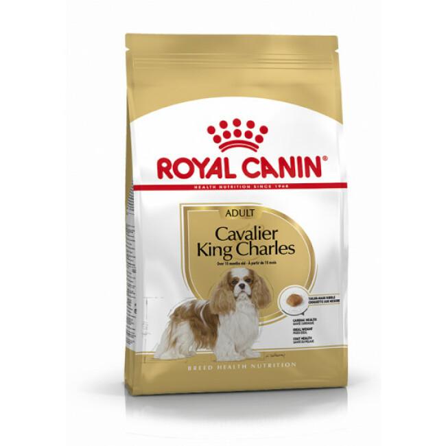 Croquettes Royal Canin Cavalier King Charles 27 Adulte