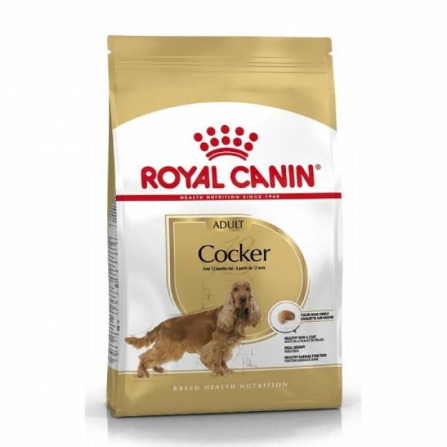 Croquettes Royal Canin Cocker Adulte