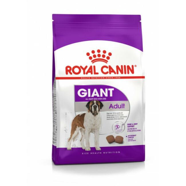 Croquettes Royal Canin Giant Adulte