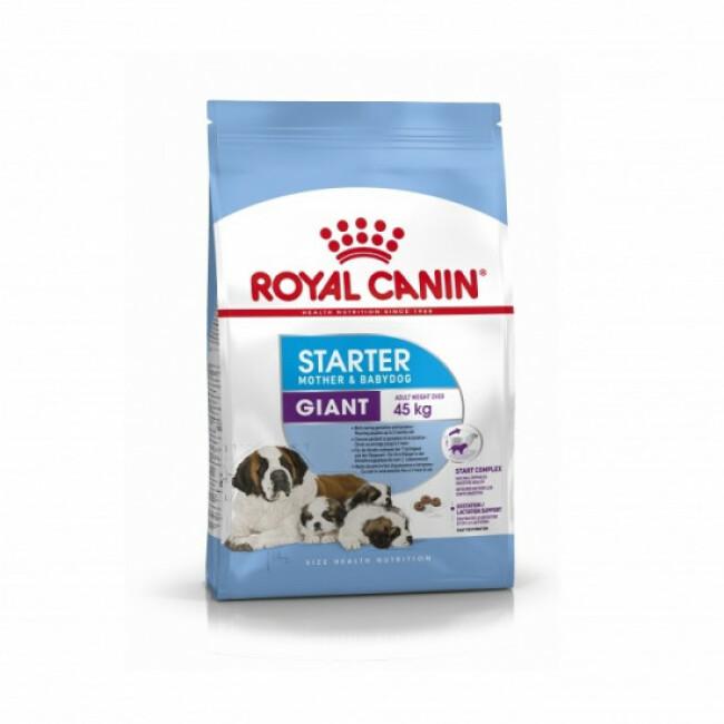 Croquettes Royal Canin Giant Starter Mother & Babydog
