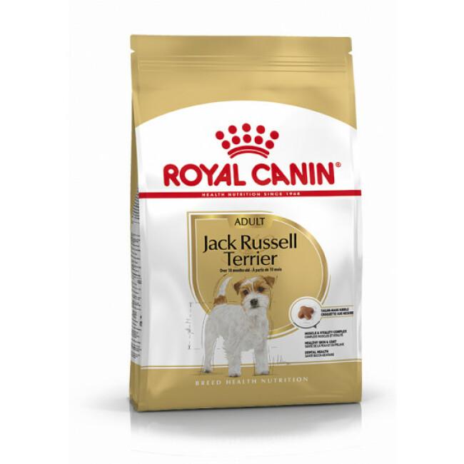 Croquettes Royal Canin Jack Russel Adulte