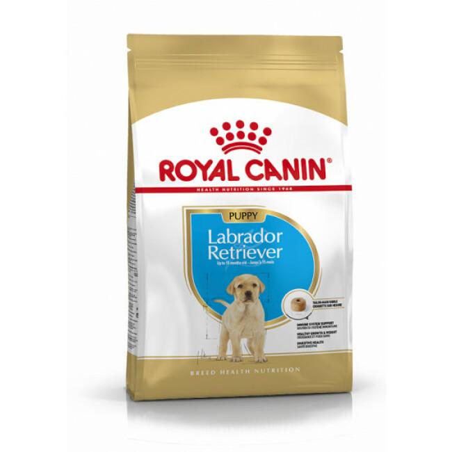 Croquettes Royal Canin Puppy Labrador Retriever chiot de 2 à 15 mois