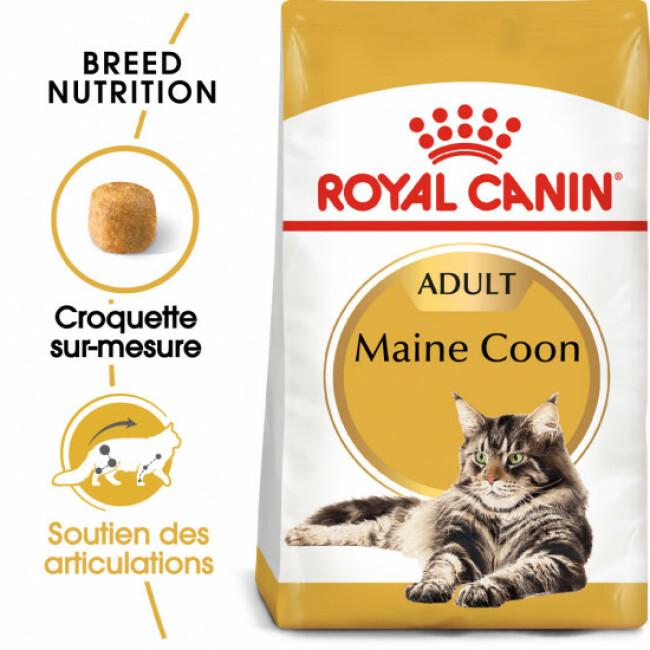 Croquettes Royal Canin Maine Coon Adult Chat à partir de 15 mois