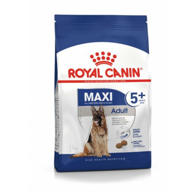 Royal Canin Maxi Adulte 5+