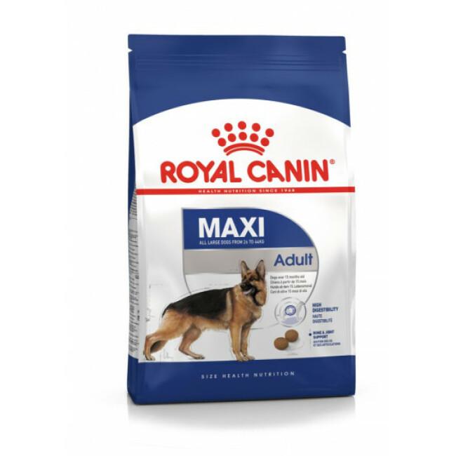 Croquettes Royal Canin Maxi Adulte