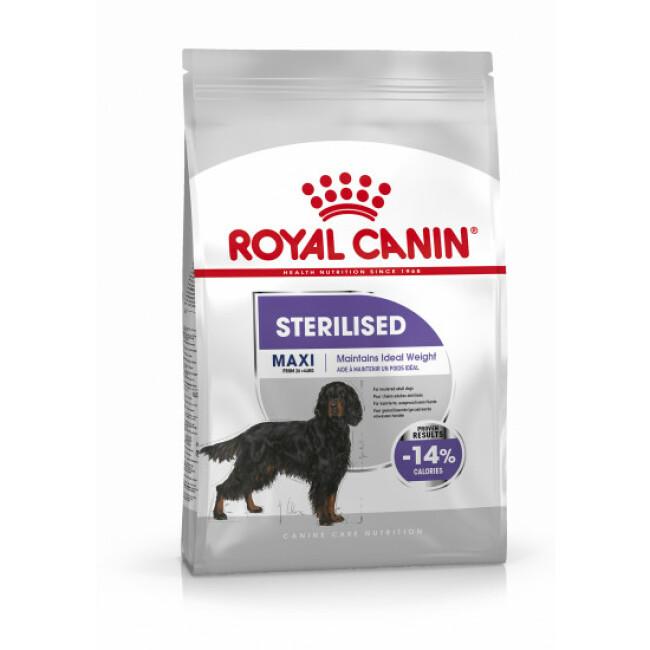 Croquettes Royal Canin Maxi Adulte Sterilised